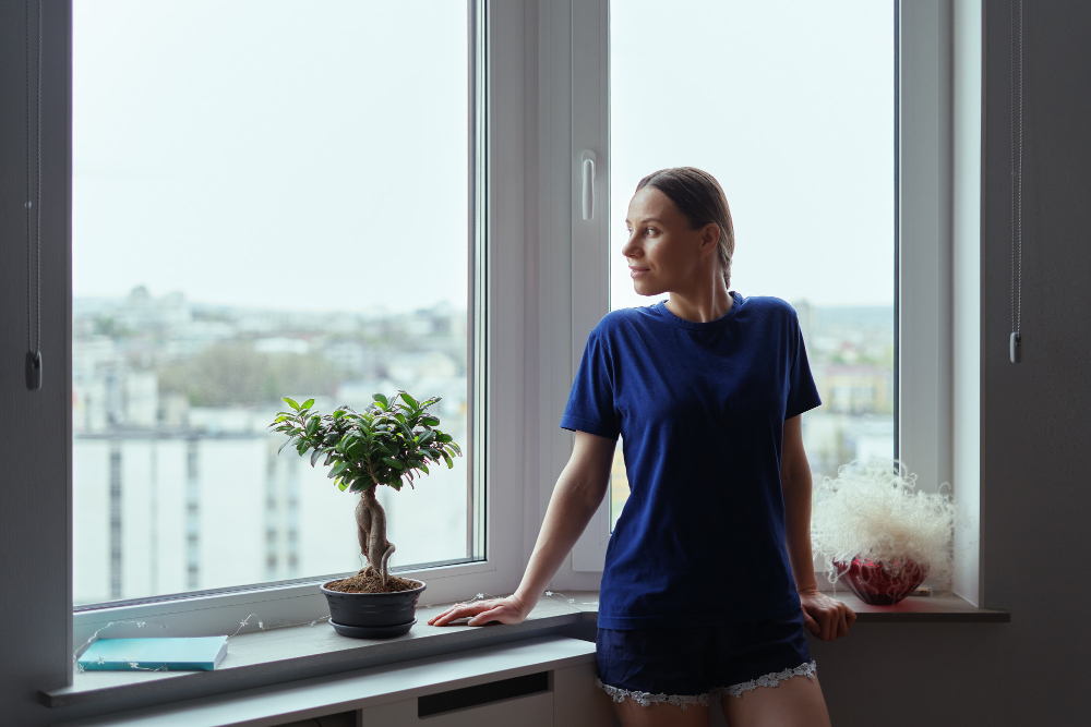 Norwalk Bay & Bow Windows